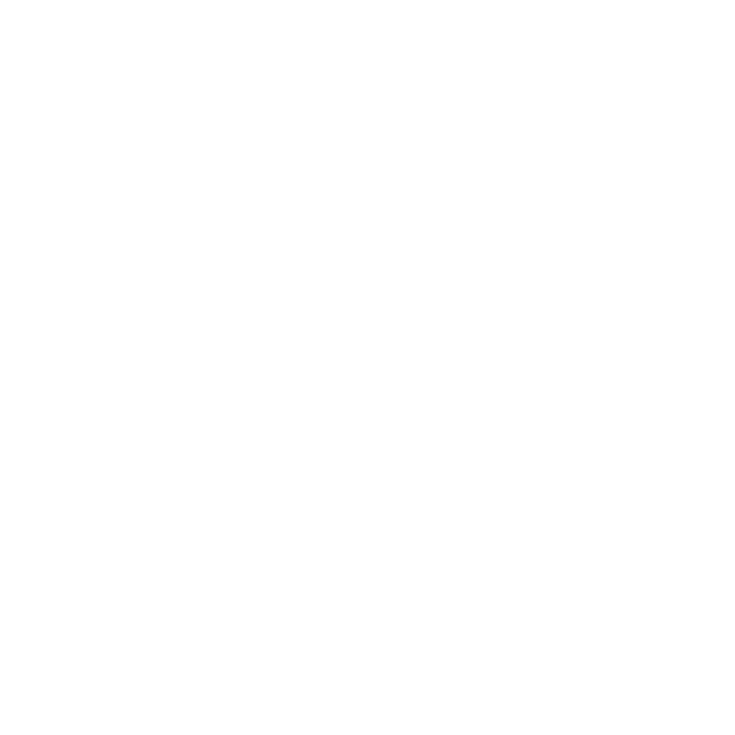 Eagle Head Outline Logo #ffffff