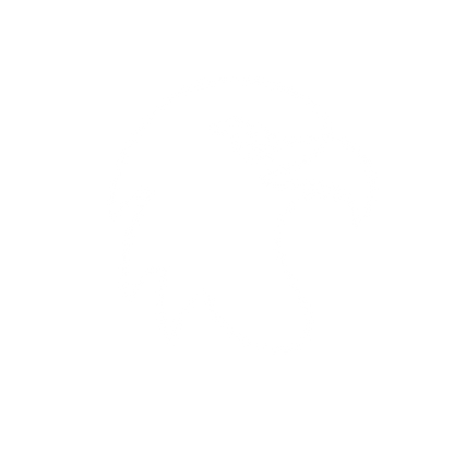 Eagle Head Outline Logo #ffffff
