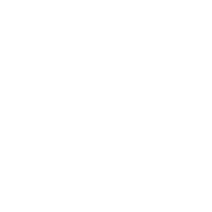 Eagle Head Shield Logo #ffffff