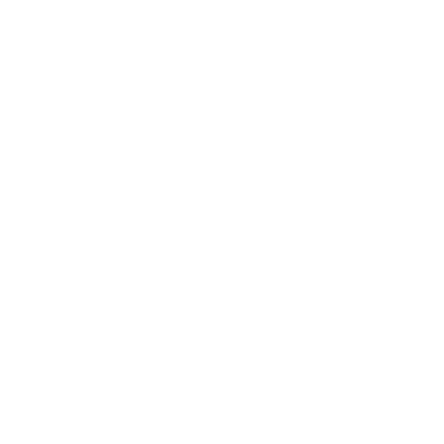 Eagle Bird Logo #ffffff