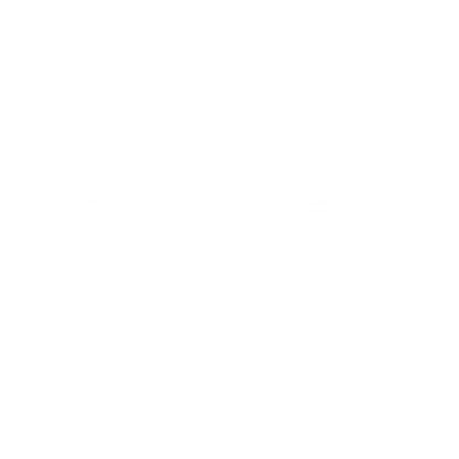 Eagle Bird Logo #ffffff