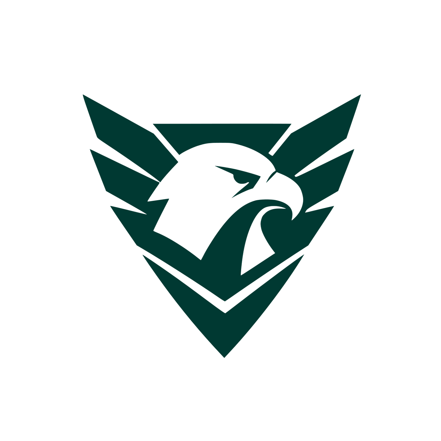Eagle Head Shield Logo #003932