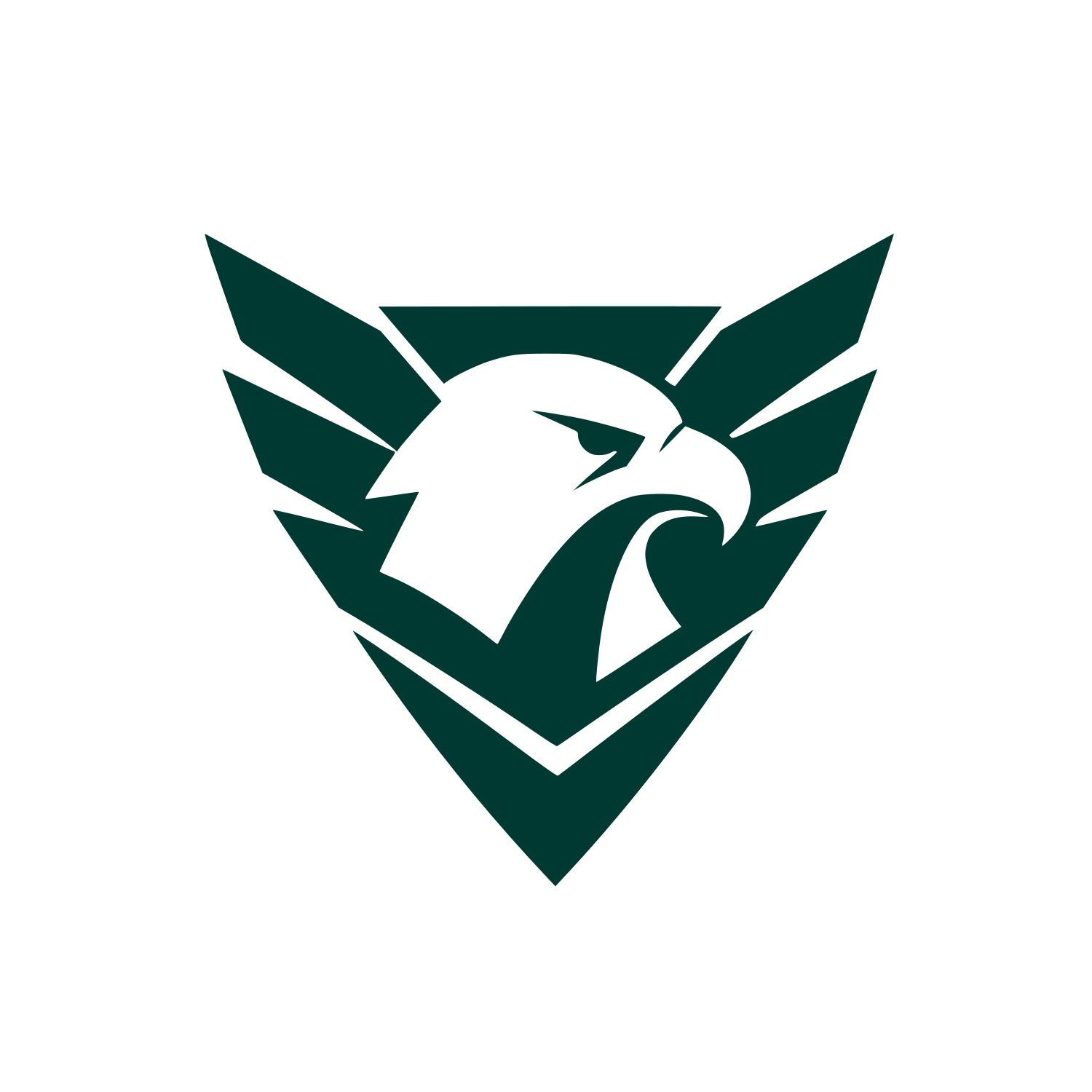 Eagle Head Shield Logo #003932