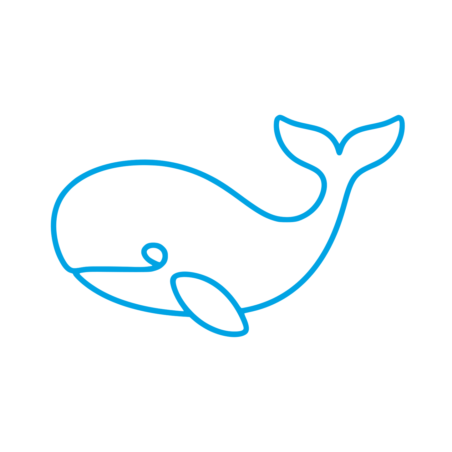 Single Line Whale Logo #00a3e4
