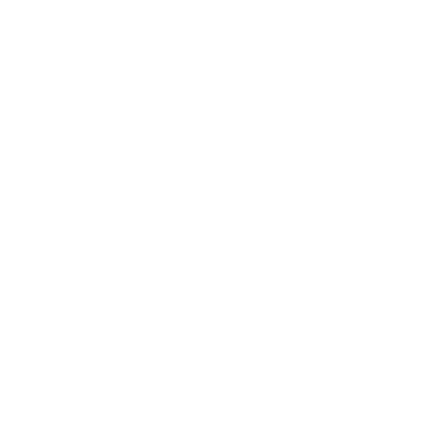 Whale Outline Logo #ffffff