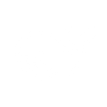 Whale Outline Logo #ffffff