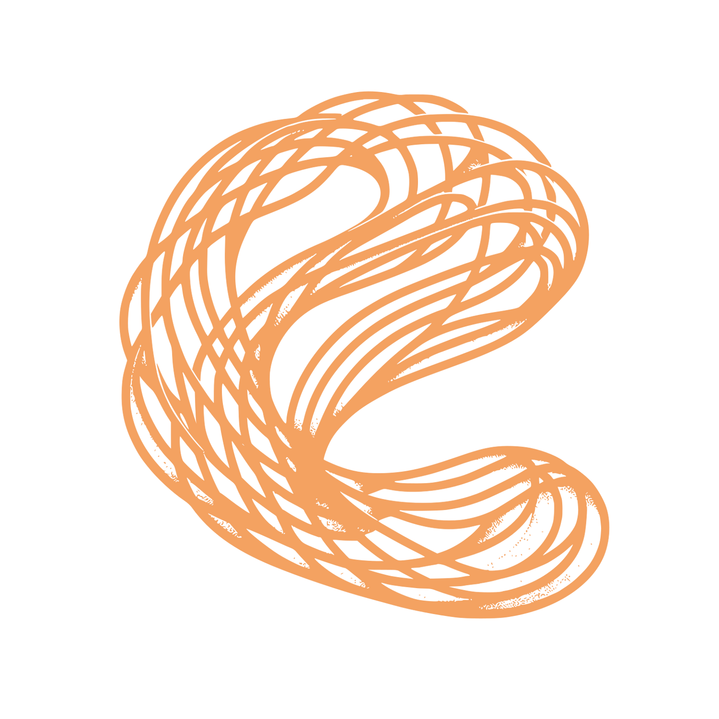 Intricate Knot Logo #F4A261