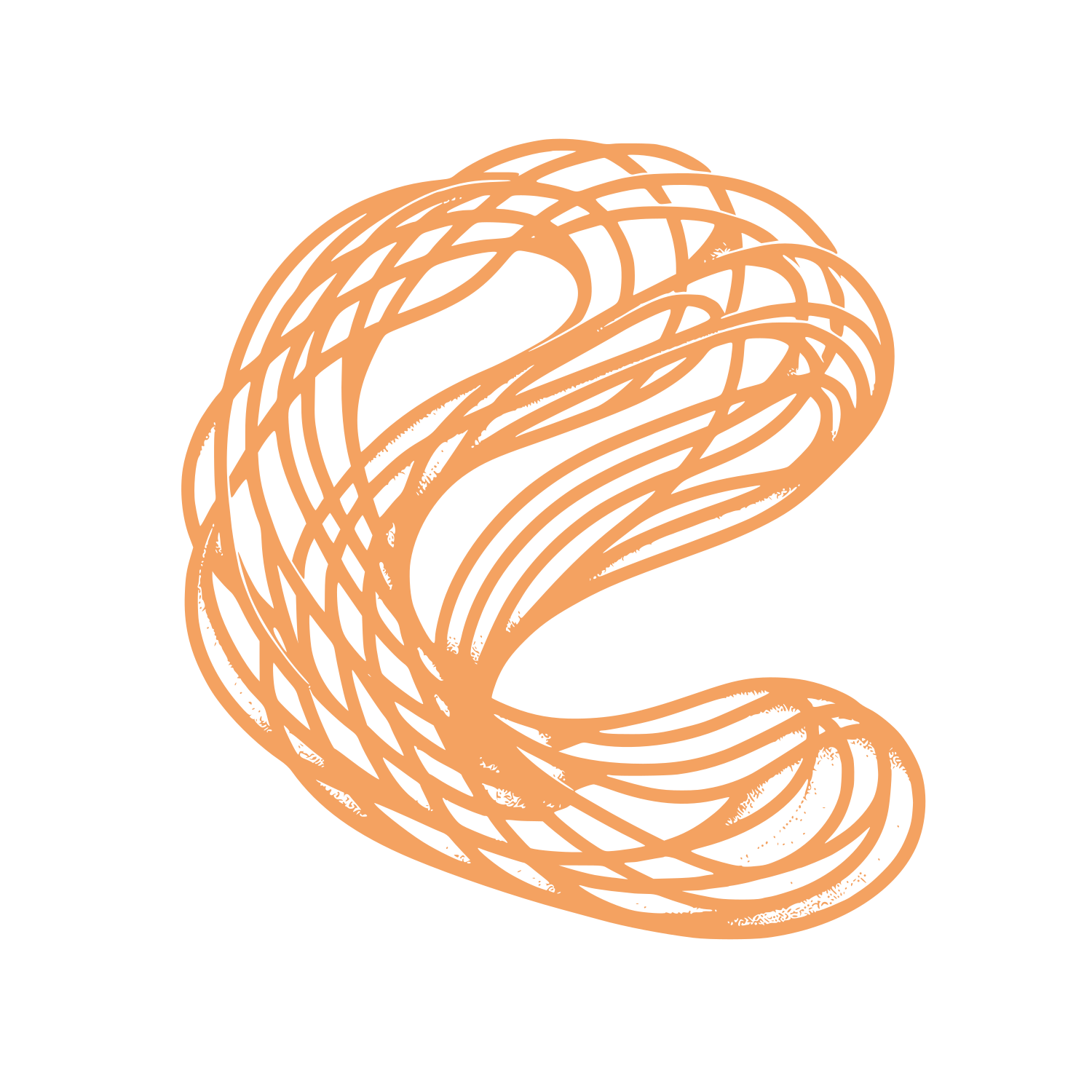 Intricate Knot Logo #F4A261