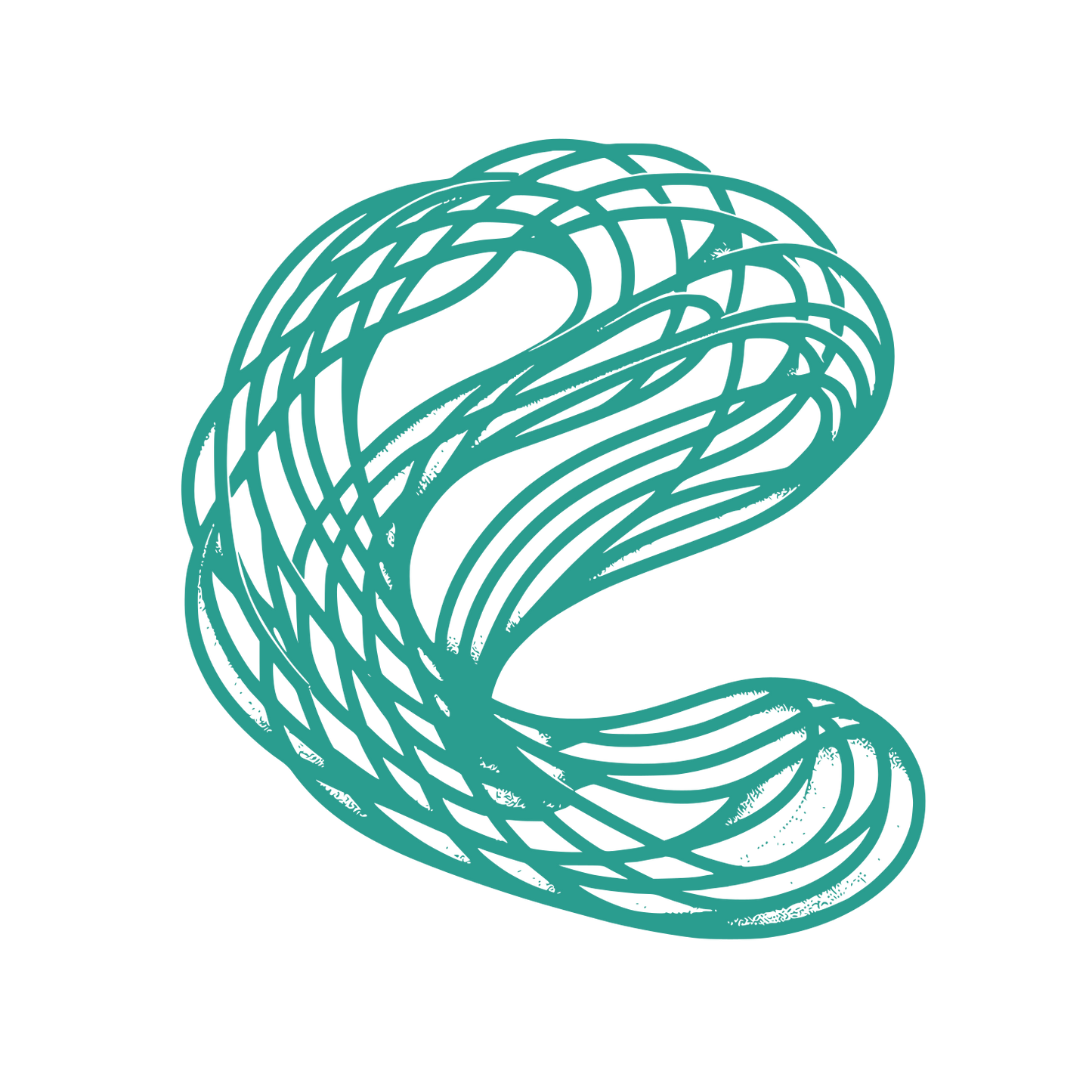 Intricate Knot Logo #2A9D8F