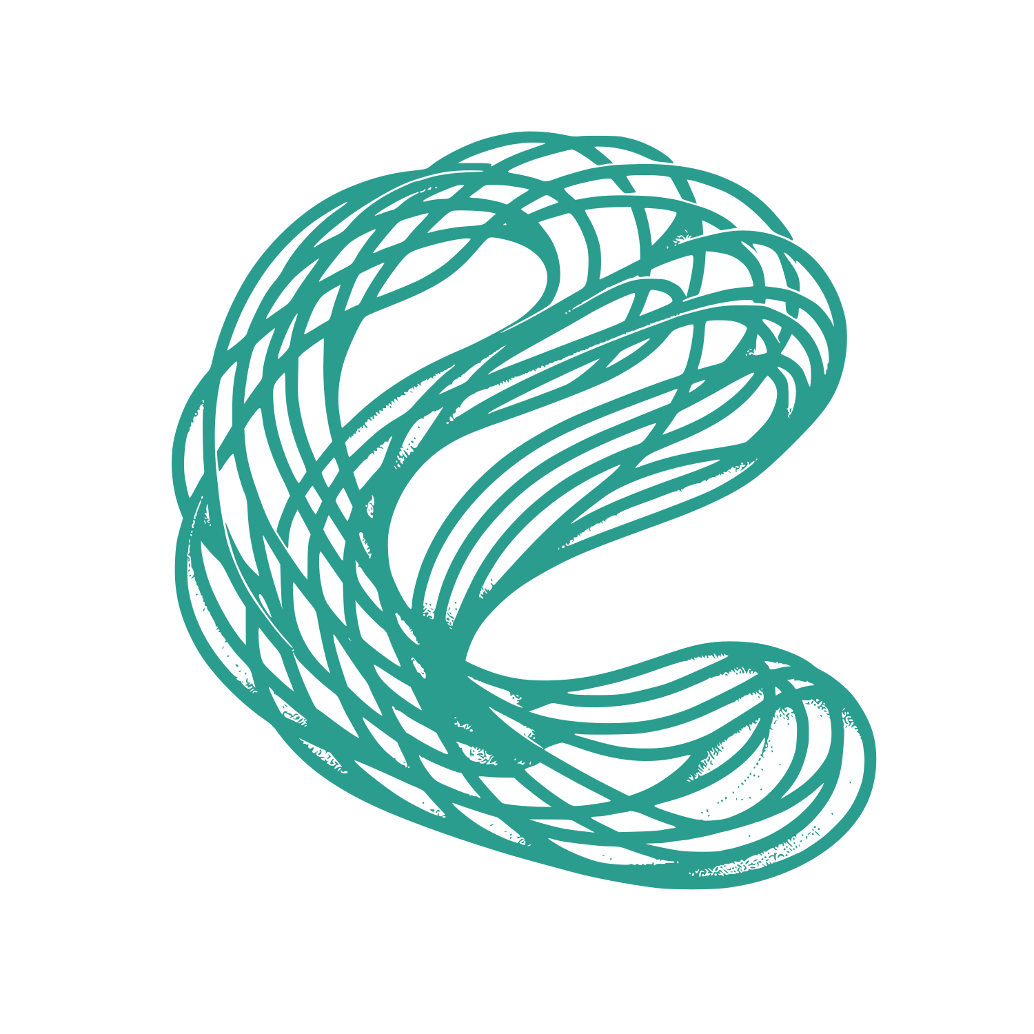Intricate Knot Logo #2A9D8F
