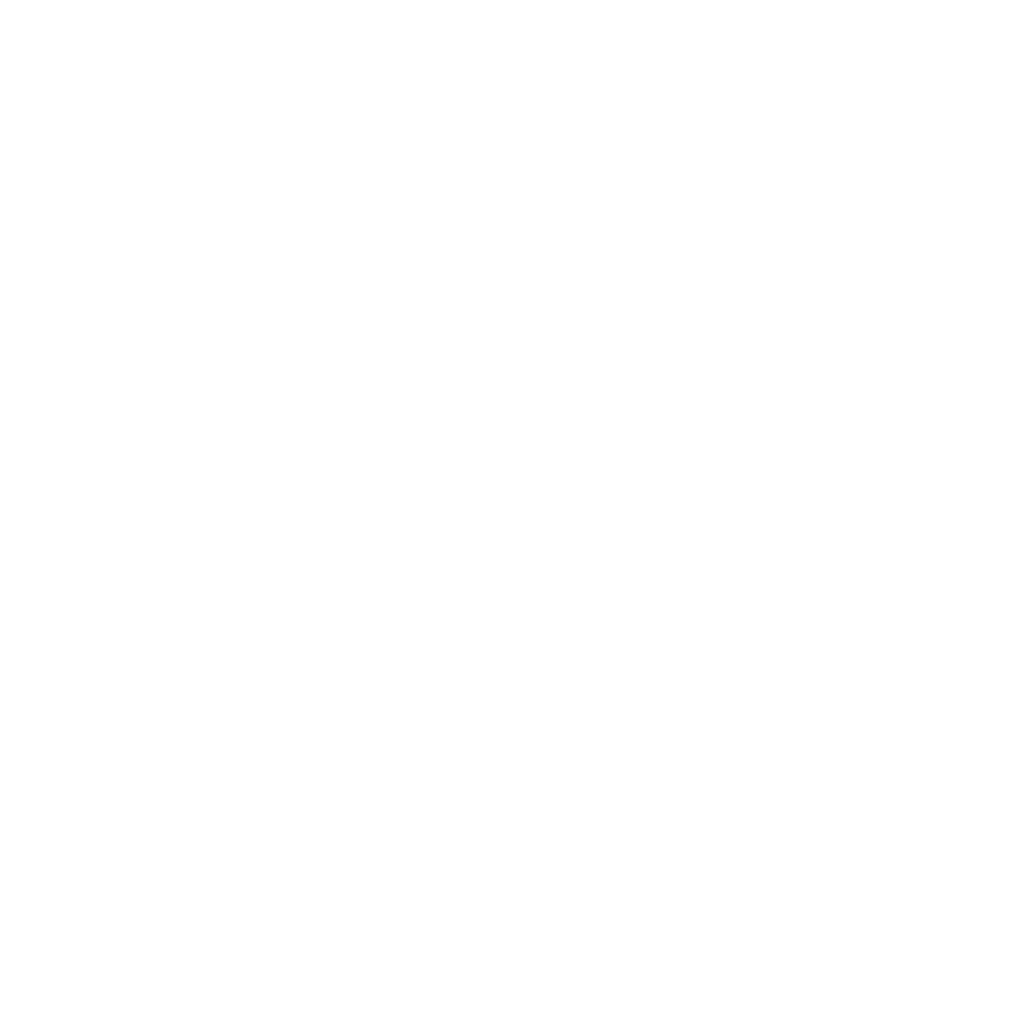 Basketball Ball Logo #ffffff