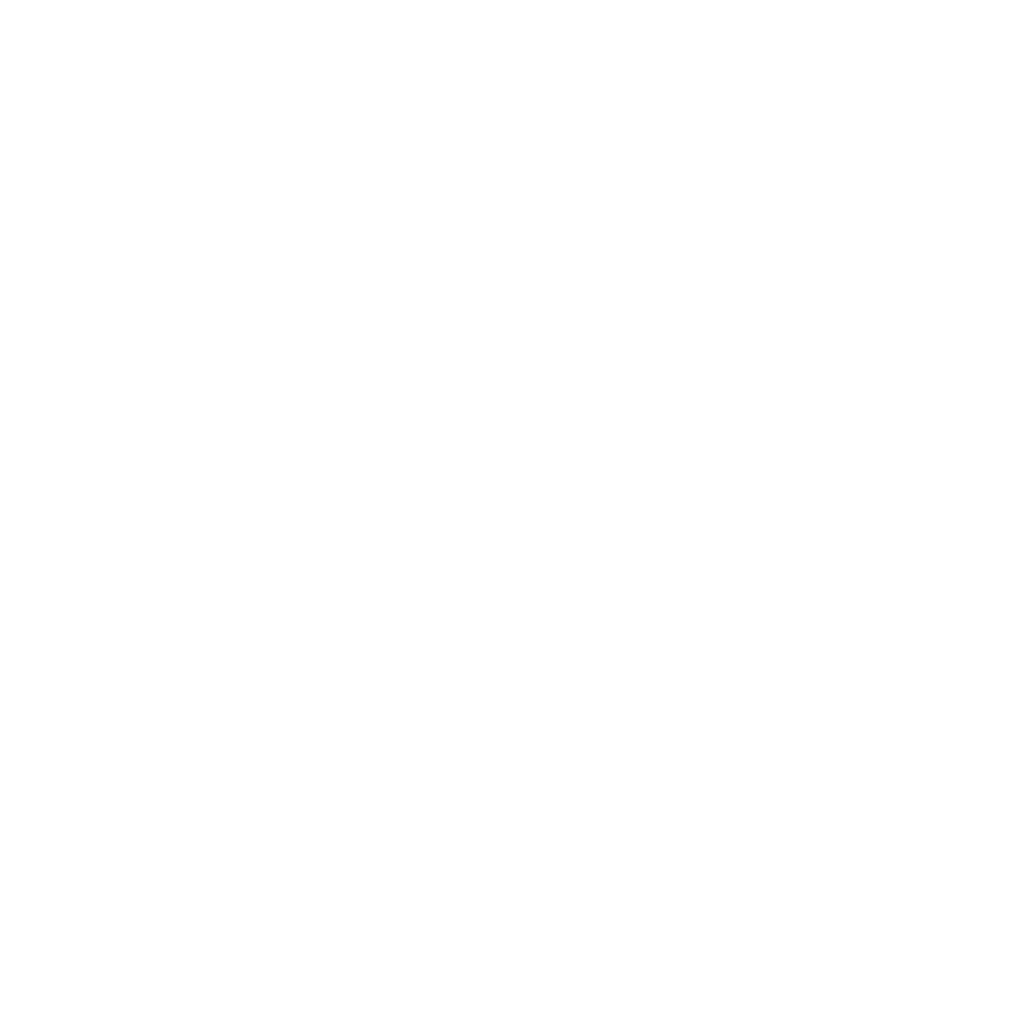 Basketball Compass Badge Logo #ffffff