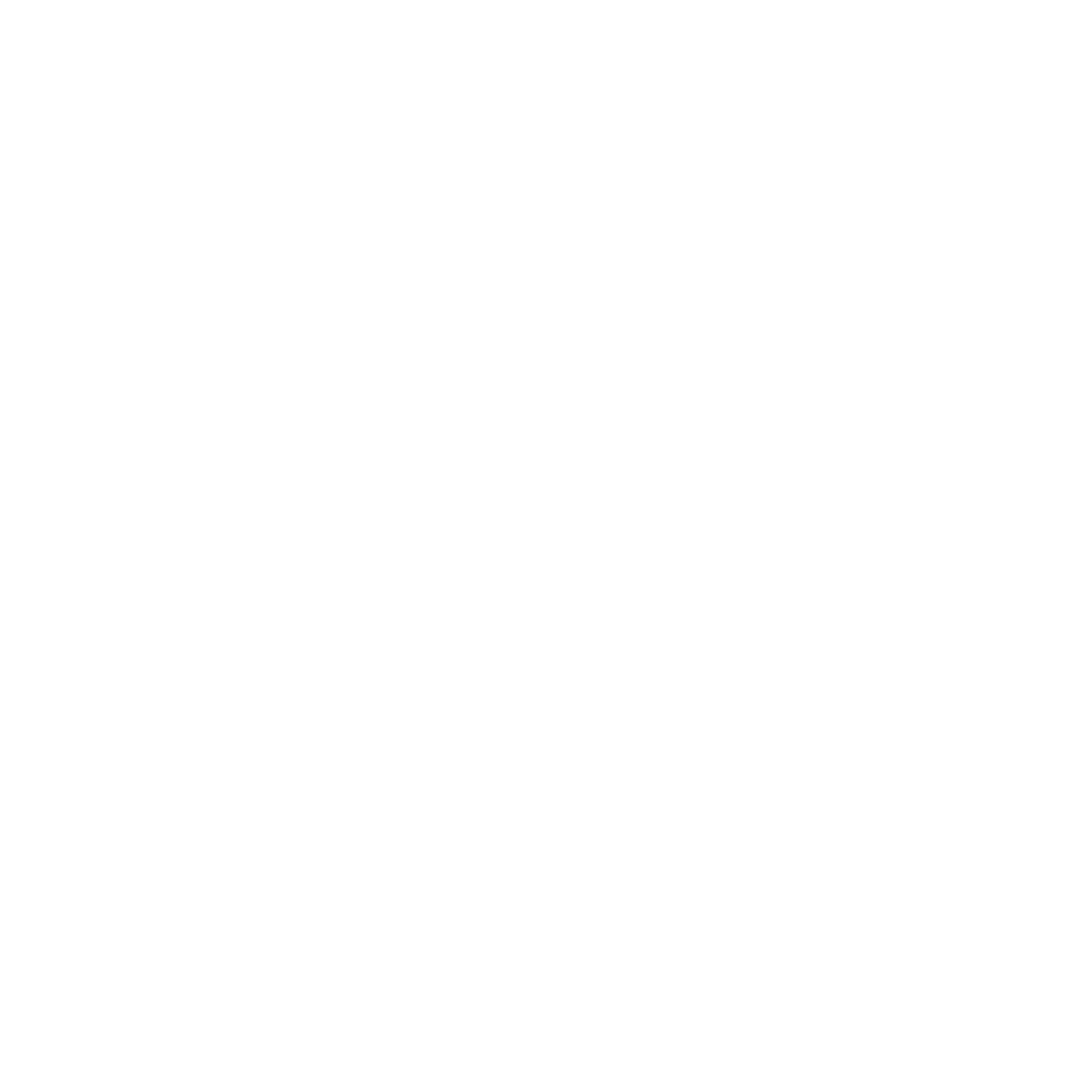 Tennis Racket and Ball Logo #ffffff