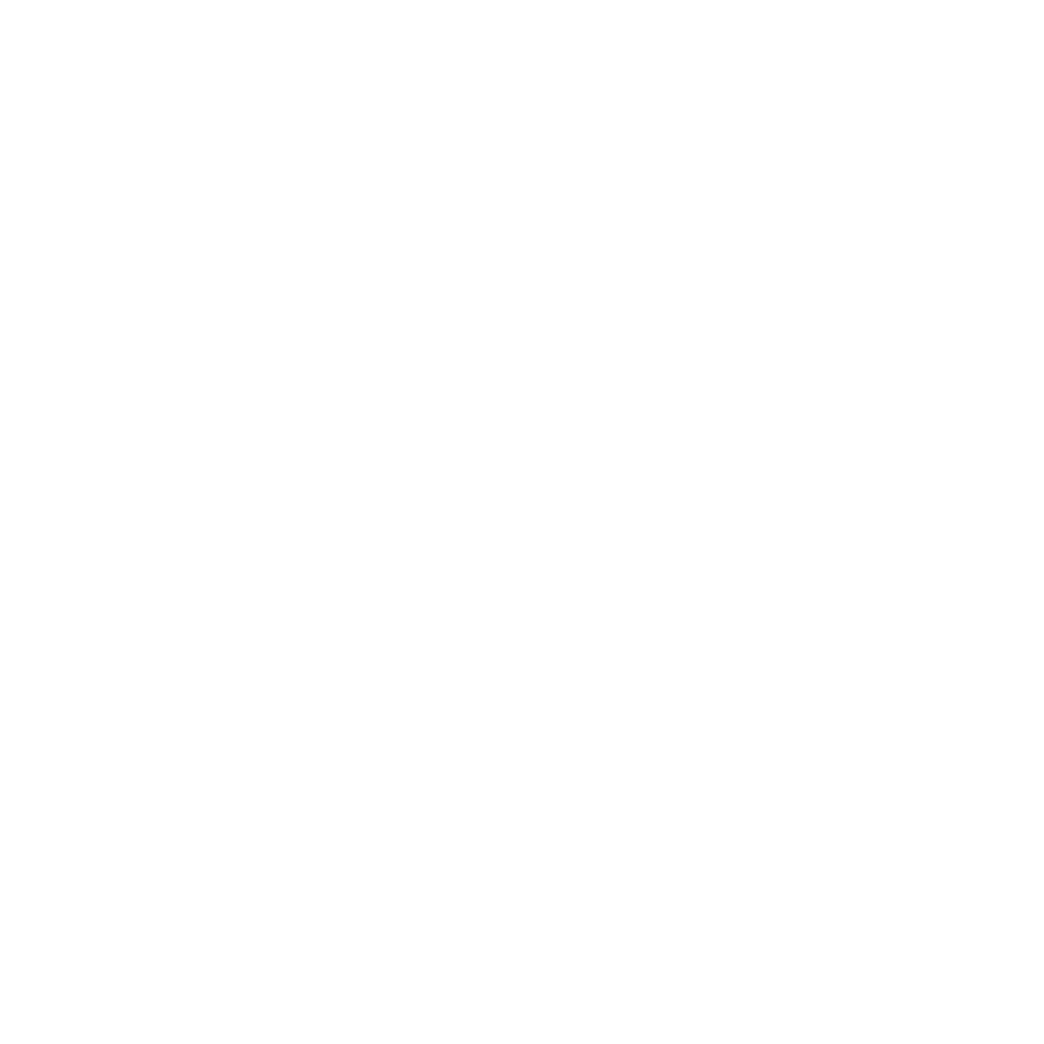 Surfboard Wave Circle Logo #ffffff