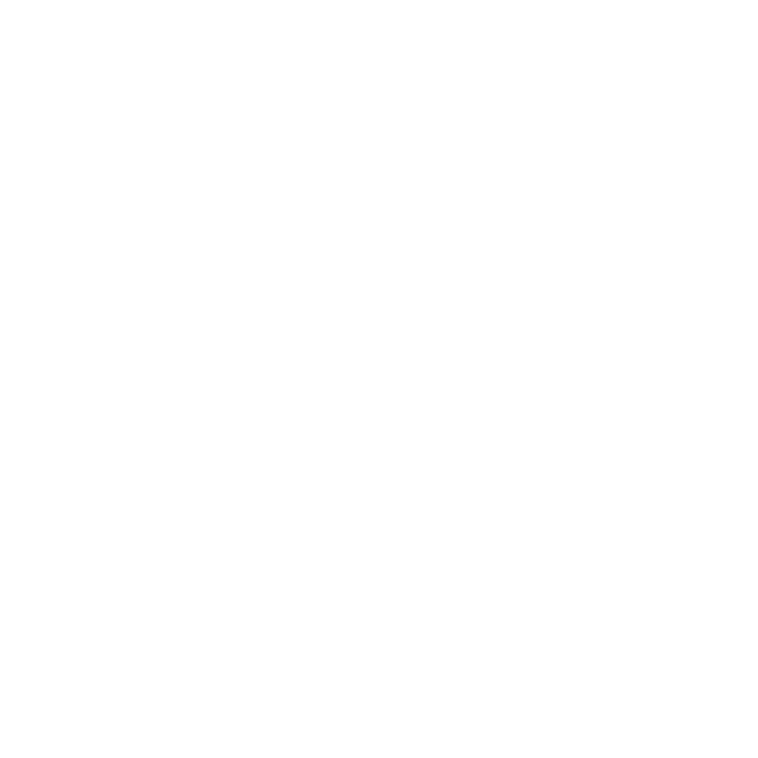 Smartphone Rotation Logo #ffffff