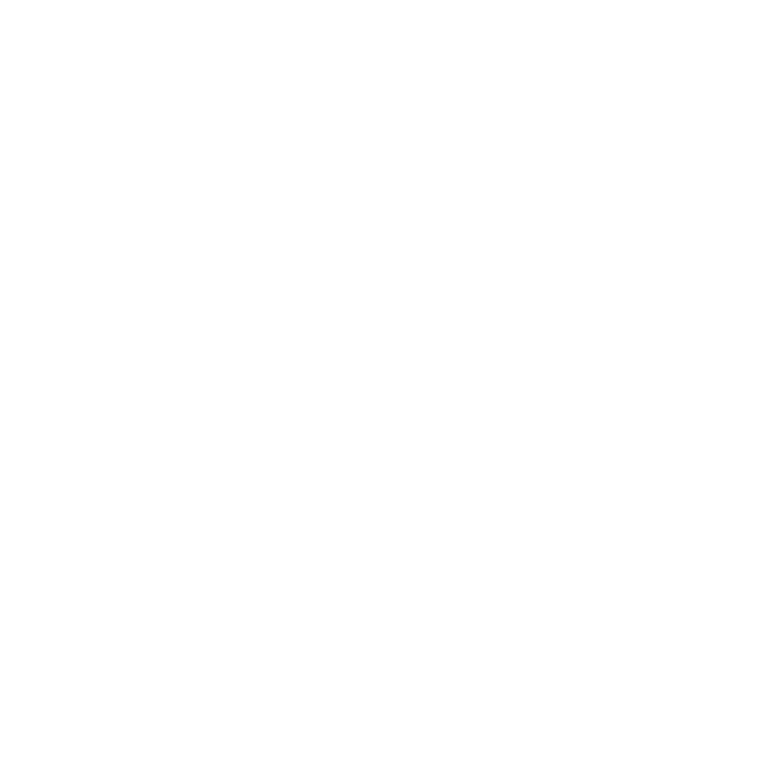 One Line Camera Logo #ffffff