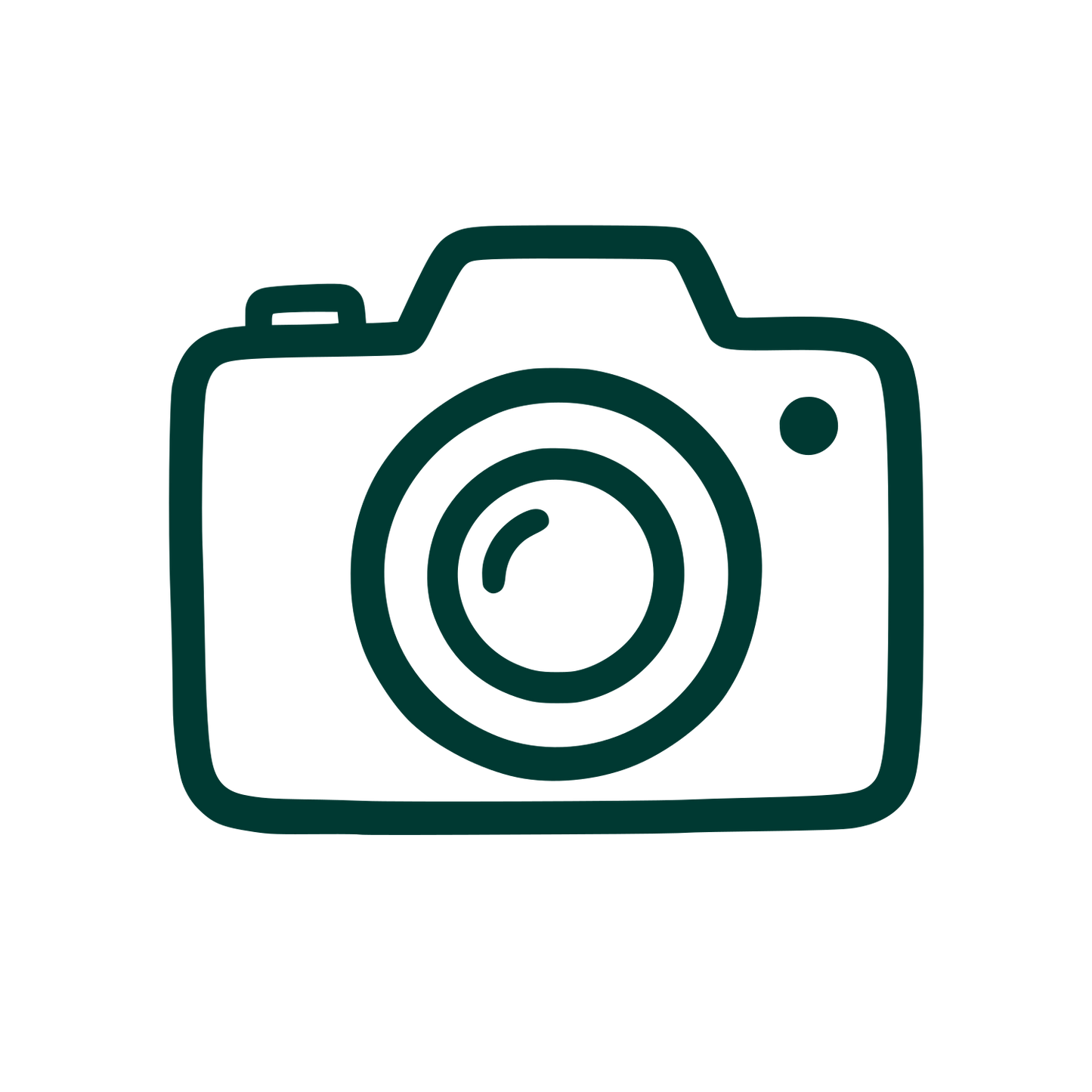 Hand-Drawn Camera Logo #003932