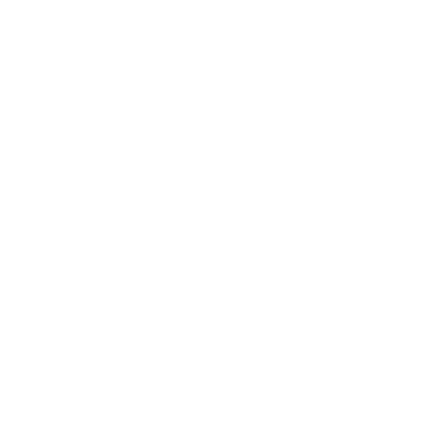 Camera Silhouette Logo #ffffff