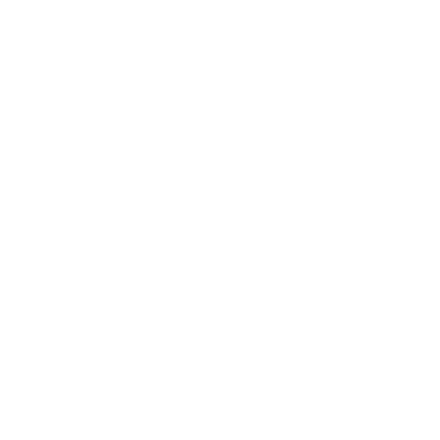 Lightning Bolt Circle Logo #ffffff
