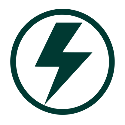Lightning Bolt Circle Logo #003932
