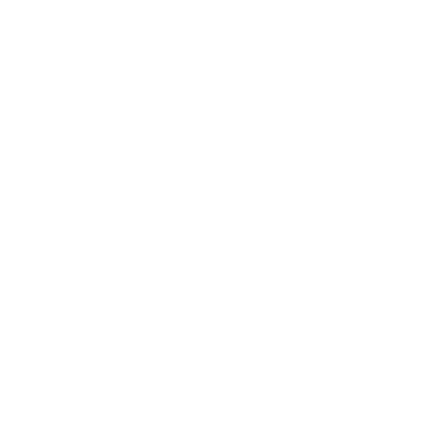 Lightning Bolt Circle Logo #ffffff