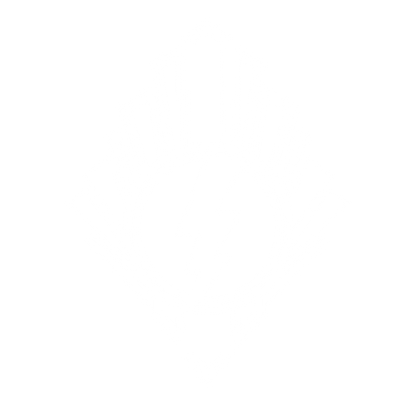 Art Deco Lightning Bolt Logo #ffffff