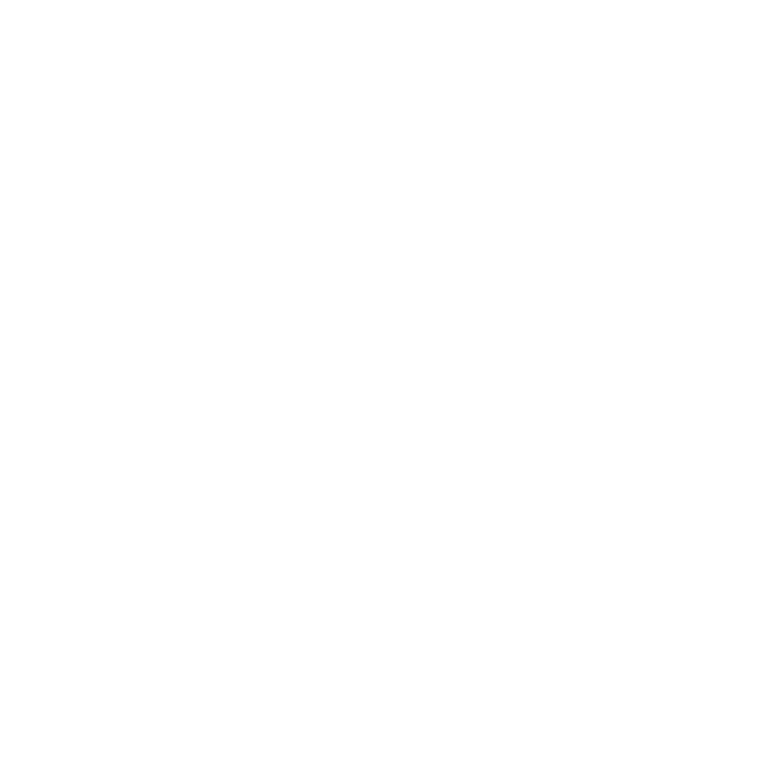 Lightning Bolt Circle Logo #ffffff