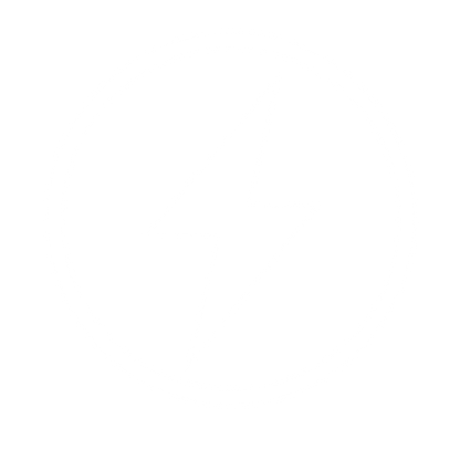 Lightning Bolt Circle Logo #ffffff