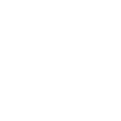 Double Lightning Bolt Logo #ffffff