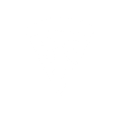 Pizza Slice Line Art Logo #ffffff