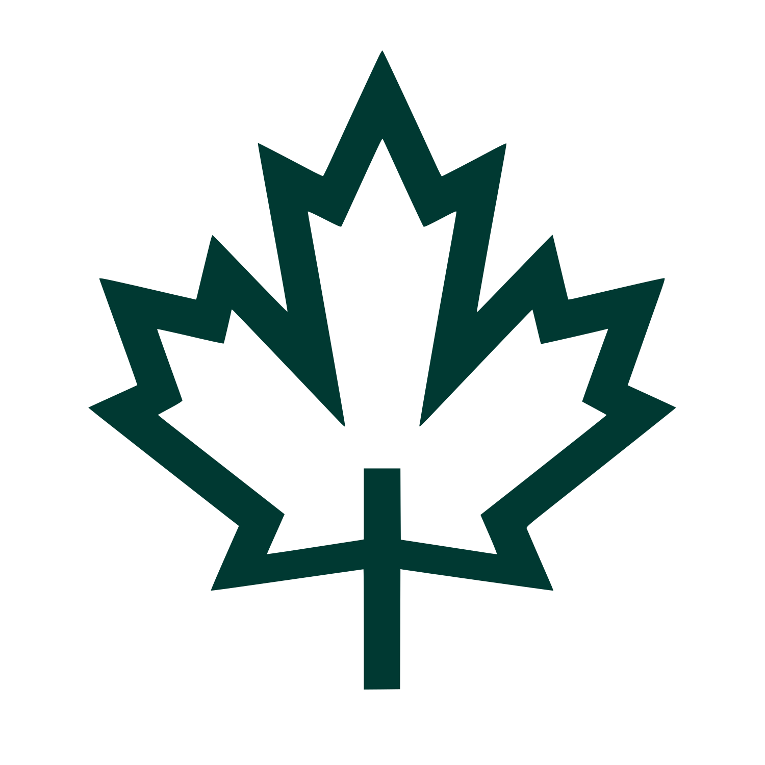 Maple Leaf Outline Logo #003932