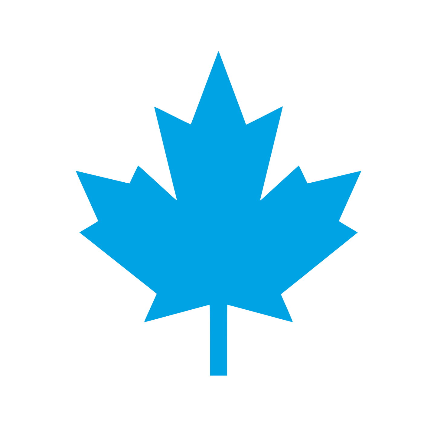 Maple Leaf Silhouette Logo #00a3e4
