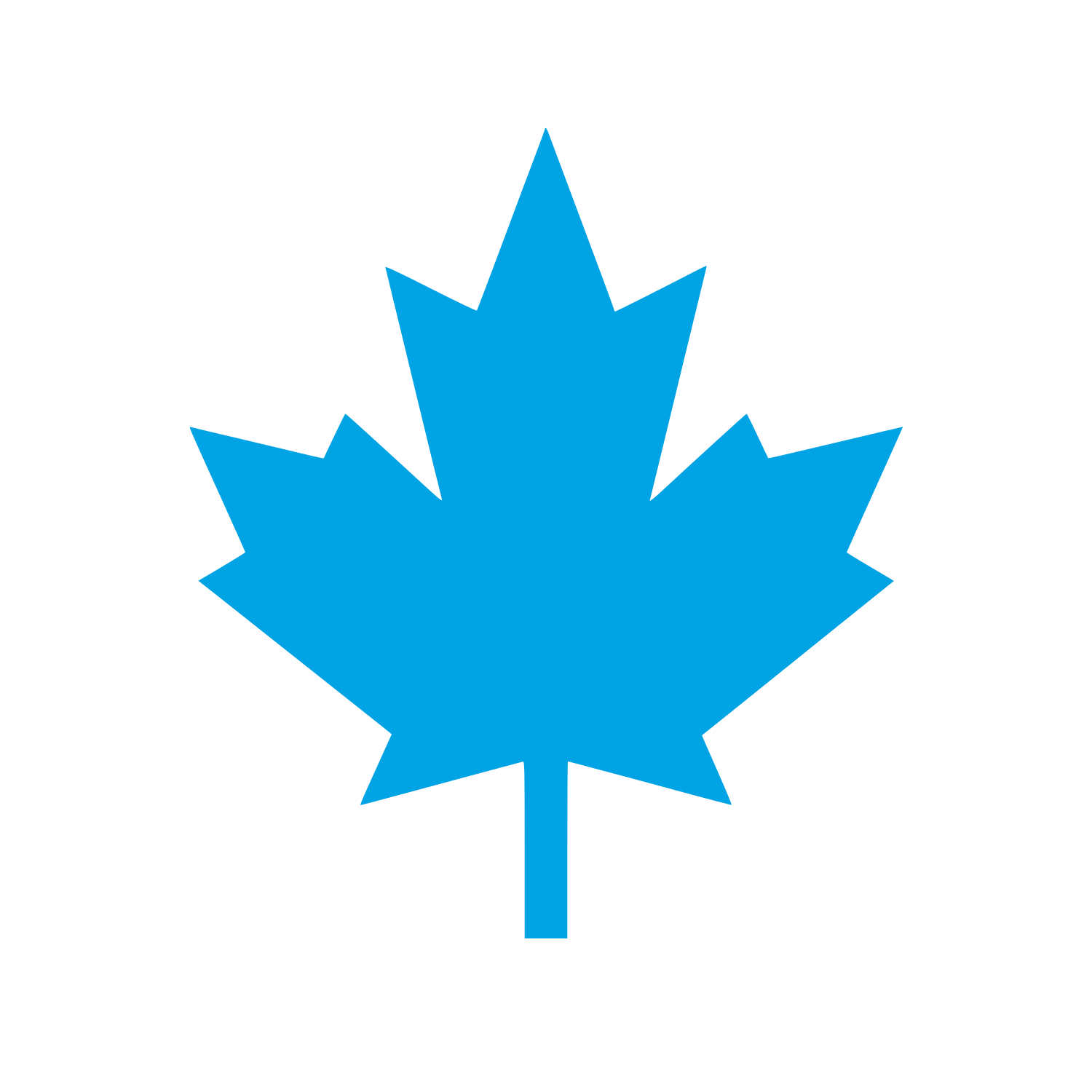 Maple Leaf Silhouette Logo #00a3e4