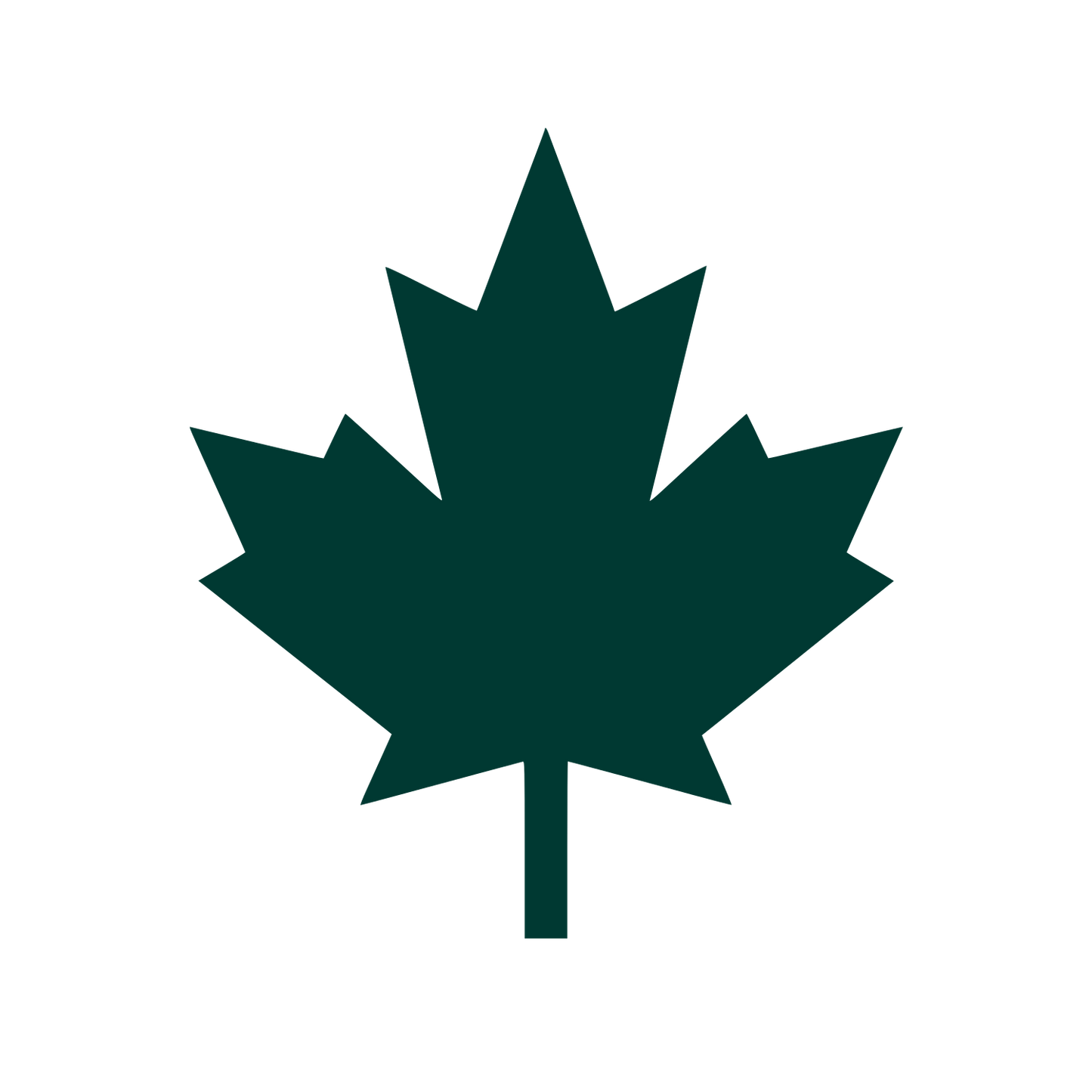 Maple Leaf Silhouette Logo #003932