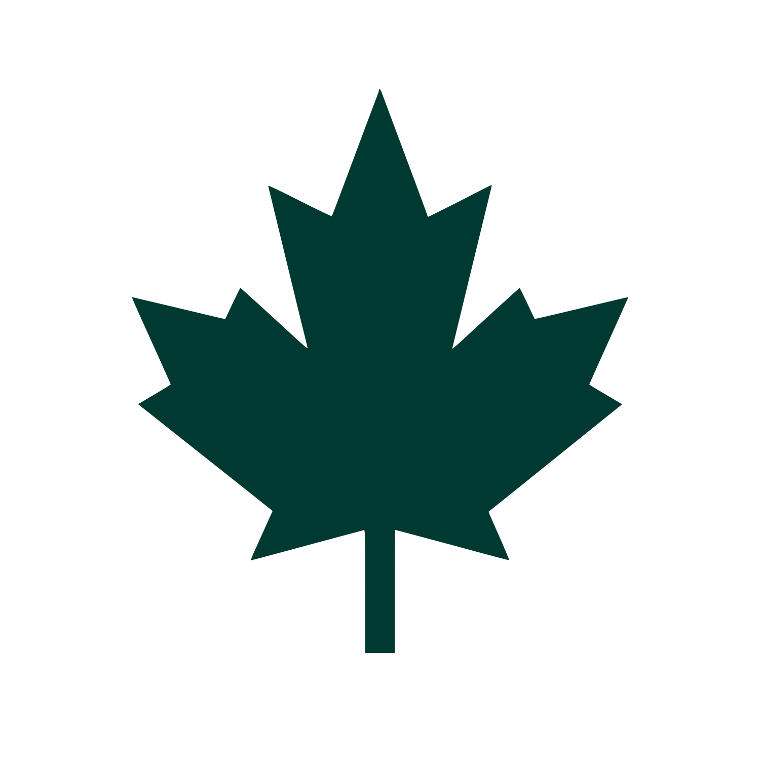 Maple Leaf Silhouette Logo #003932