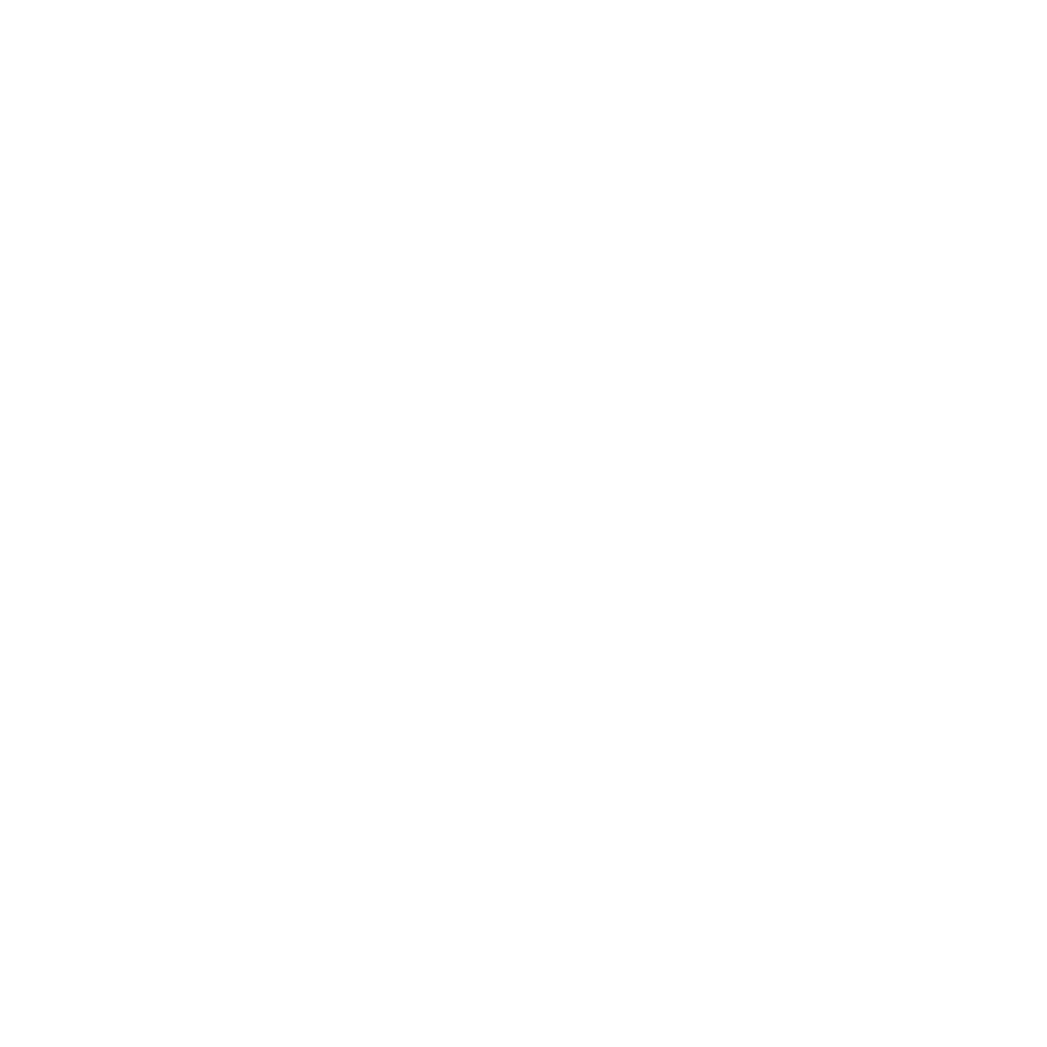 Geometric Sunflower Logo #ffffff