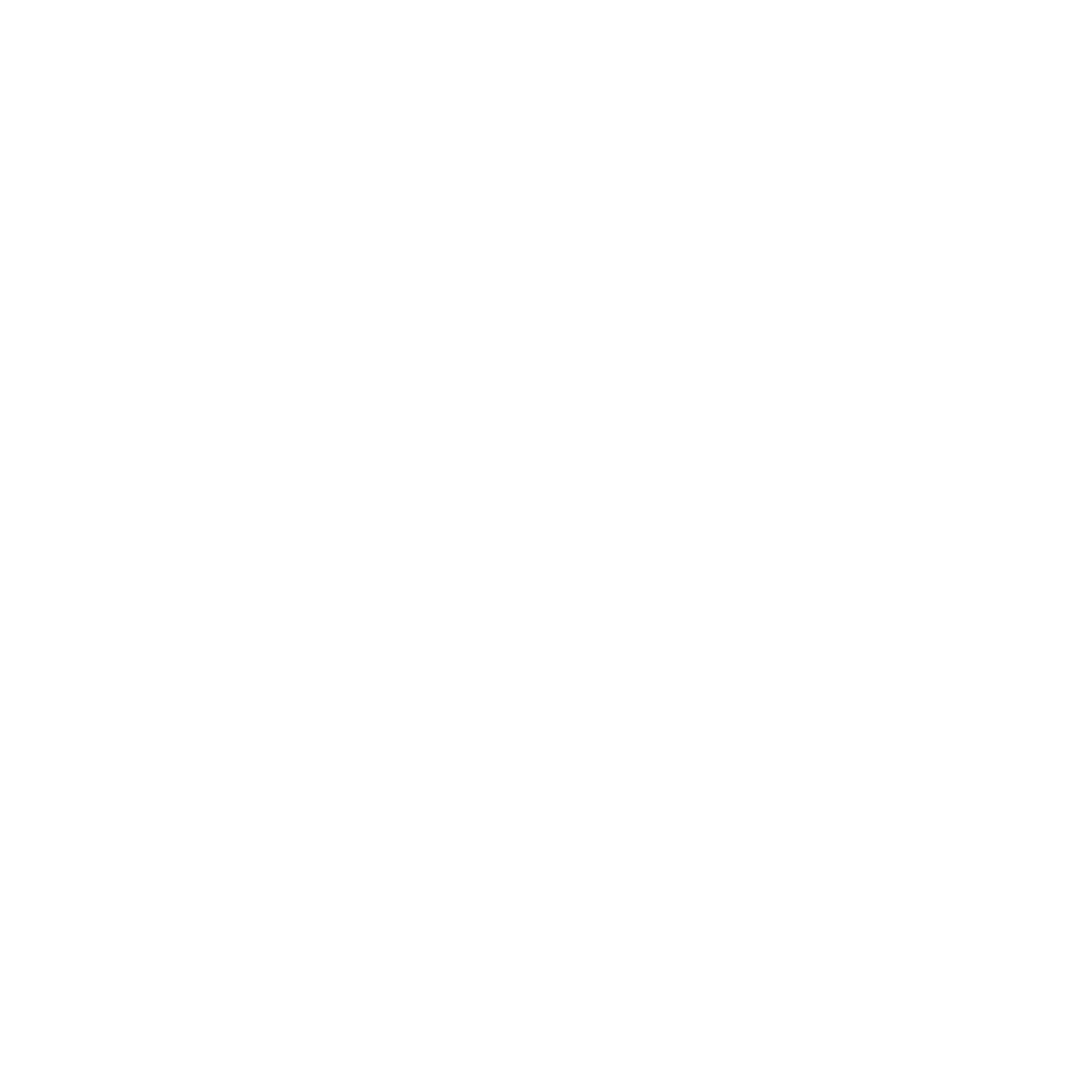 Sunflower Seed Head Logo #ffffff