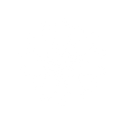 Sunflower Seed Head Logo #ffffff