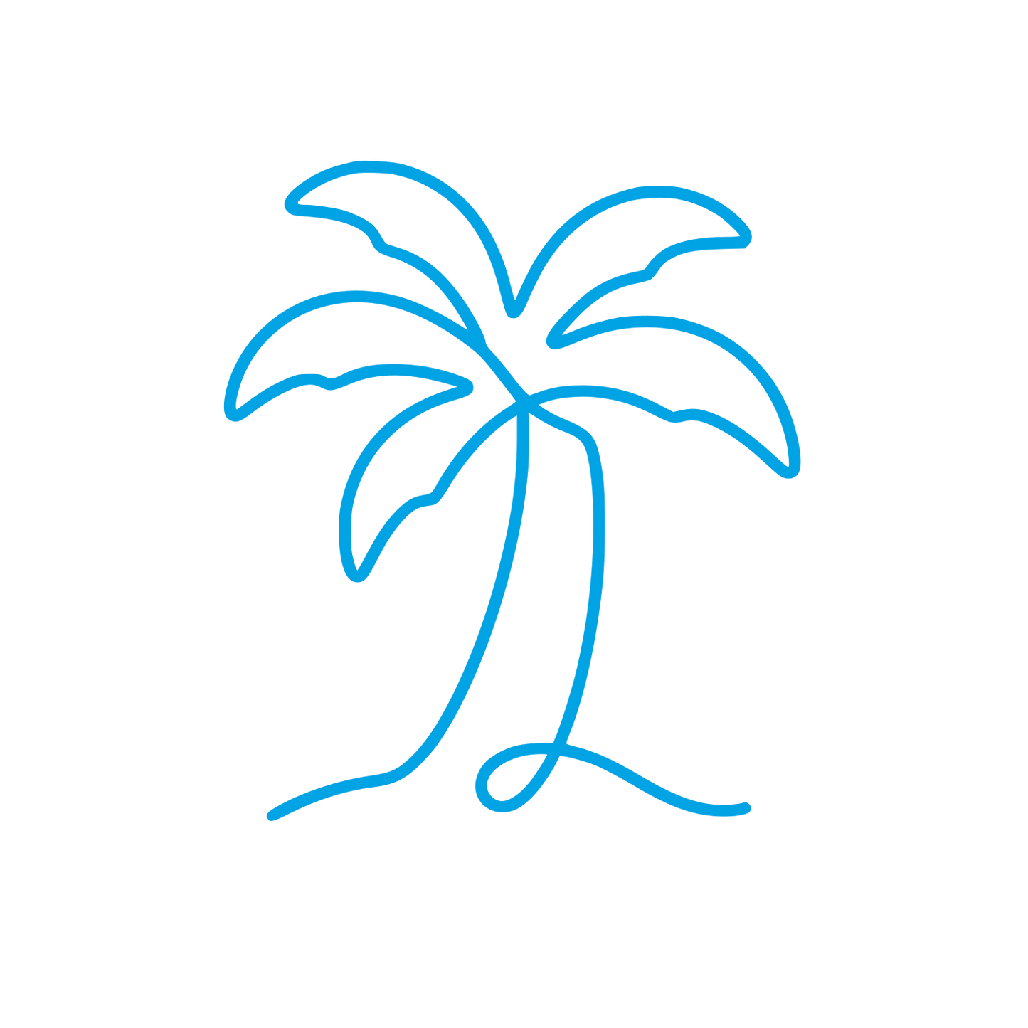 Single Line Palm Tree Logo #00a3e4
