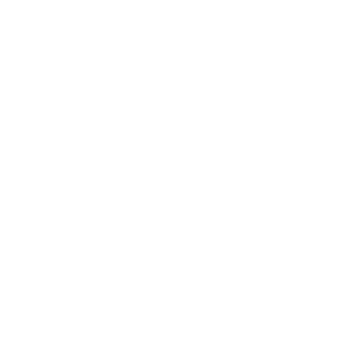 Airplane in Circle Logo #ffffff