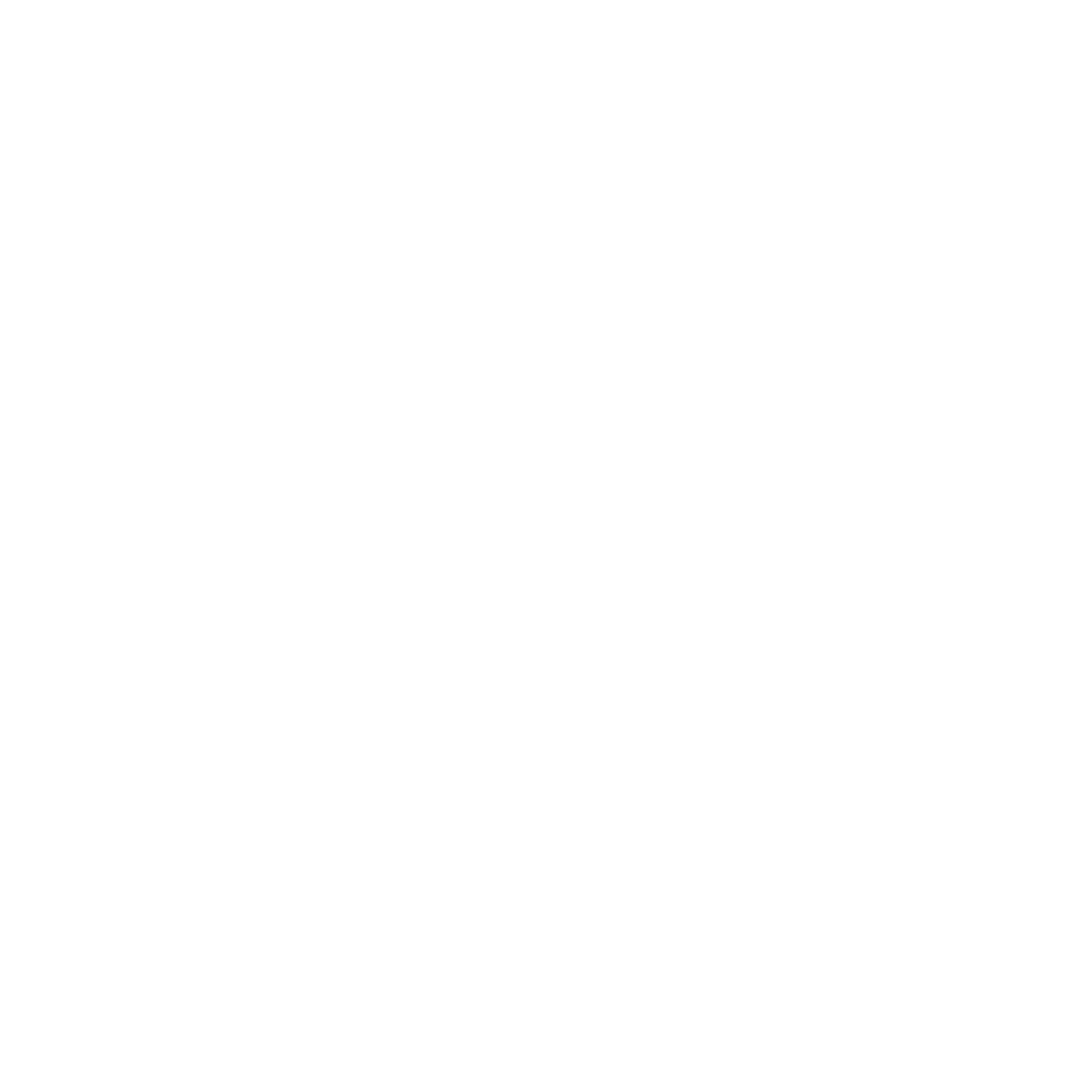 Airplane Outline Logo #ffffff