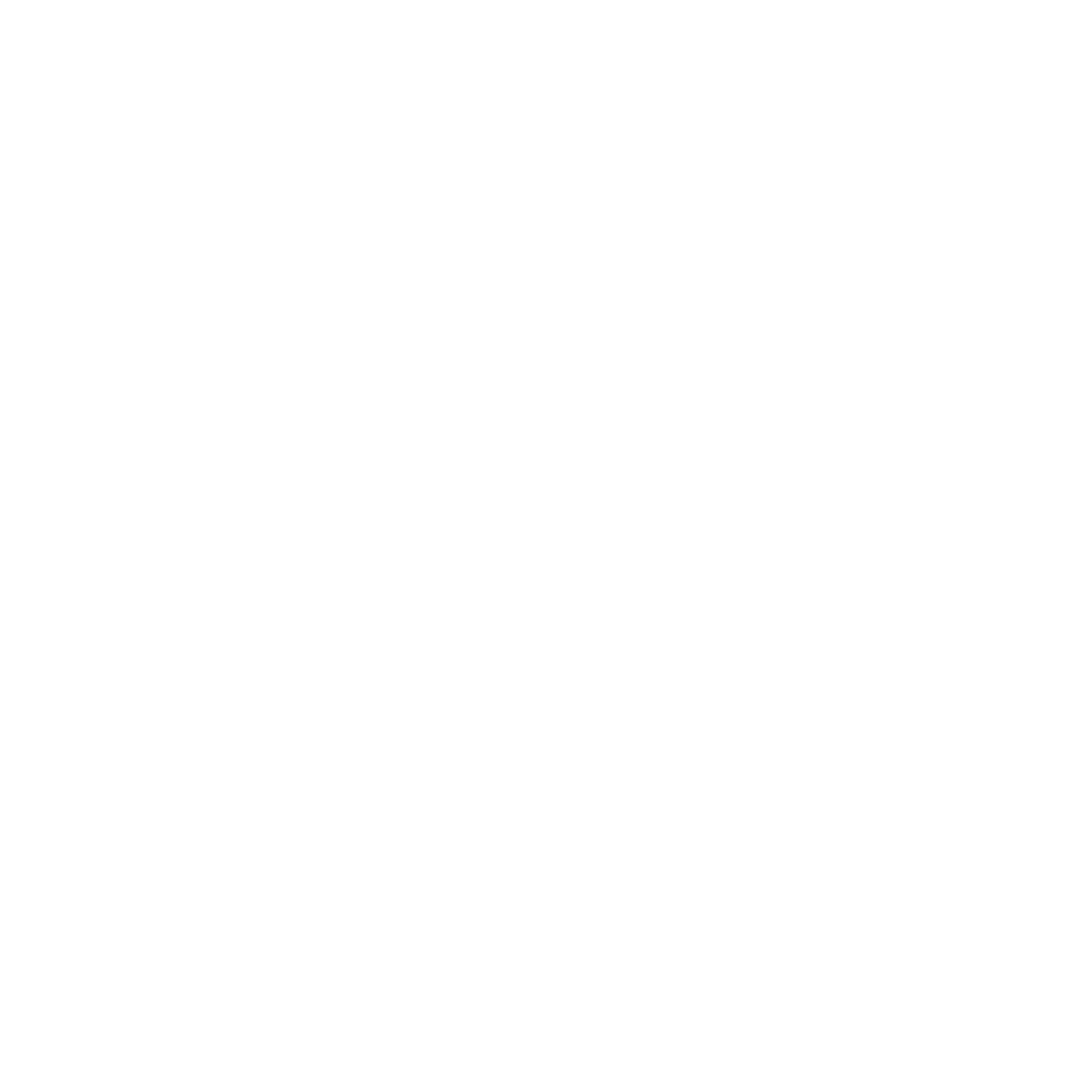 Airplane Star Badge Logo #ffffff