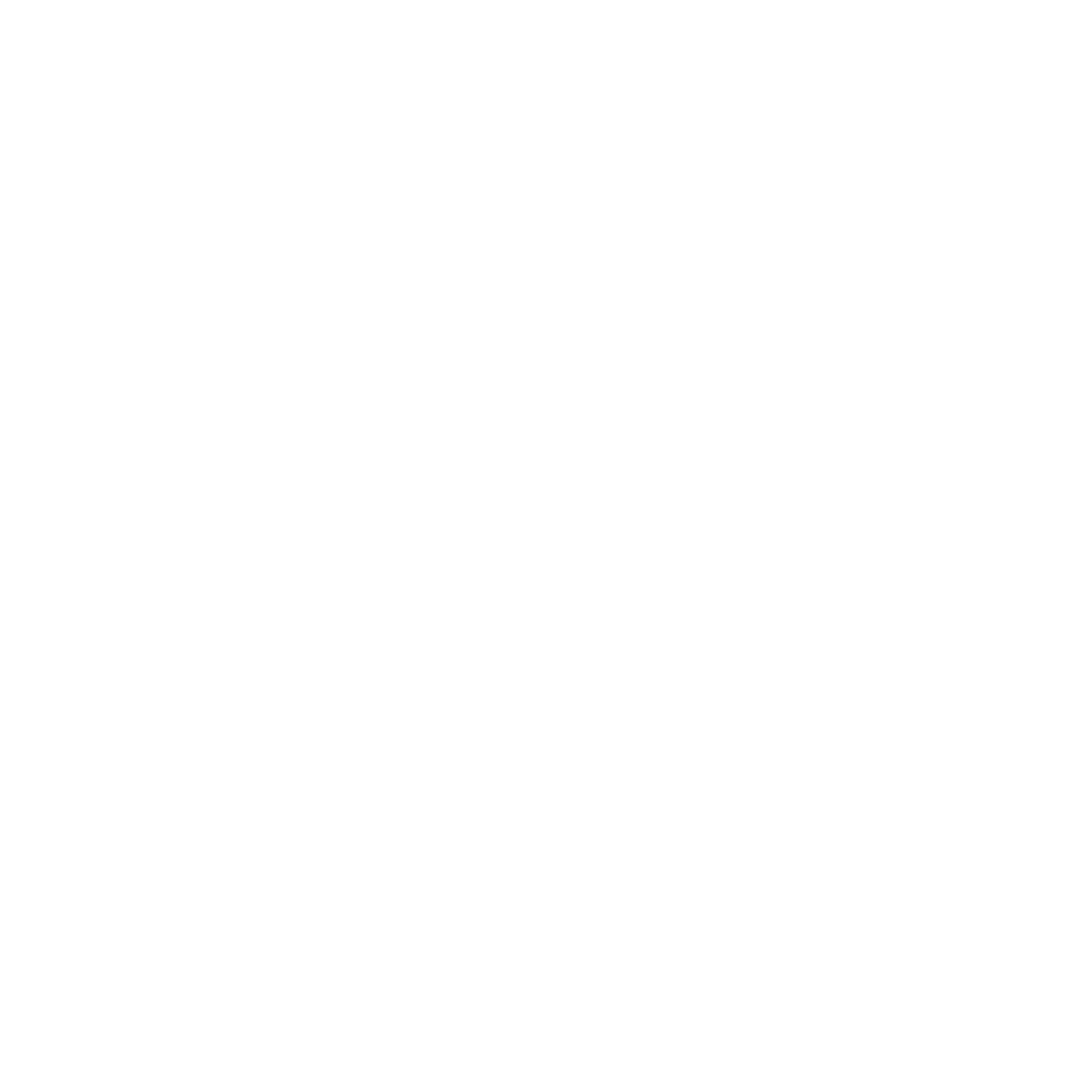 Airplane Star Badge Logo #ffffff