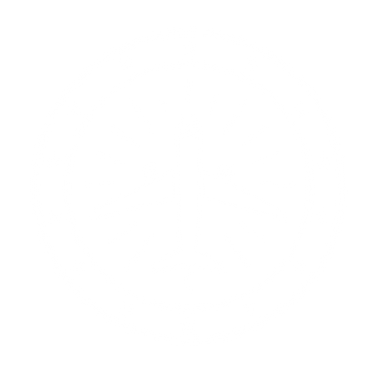 Airplane Star Badge Logo #ffffff
