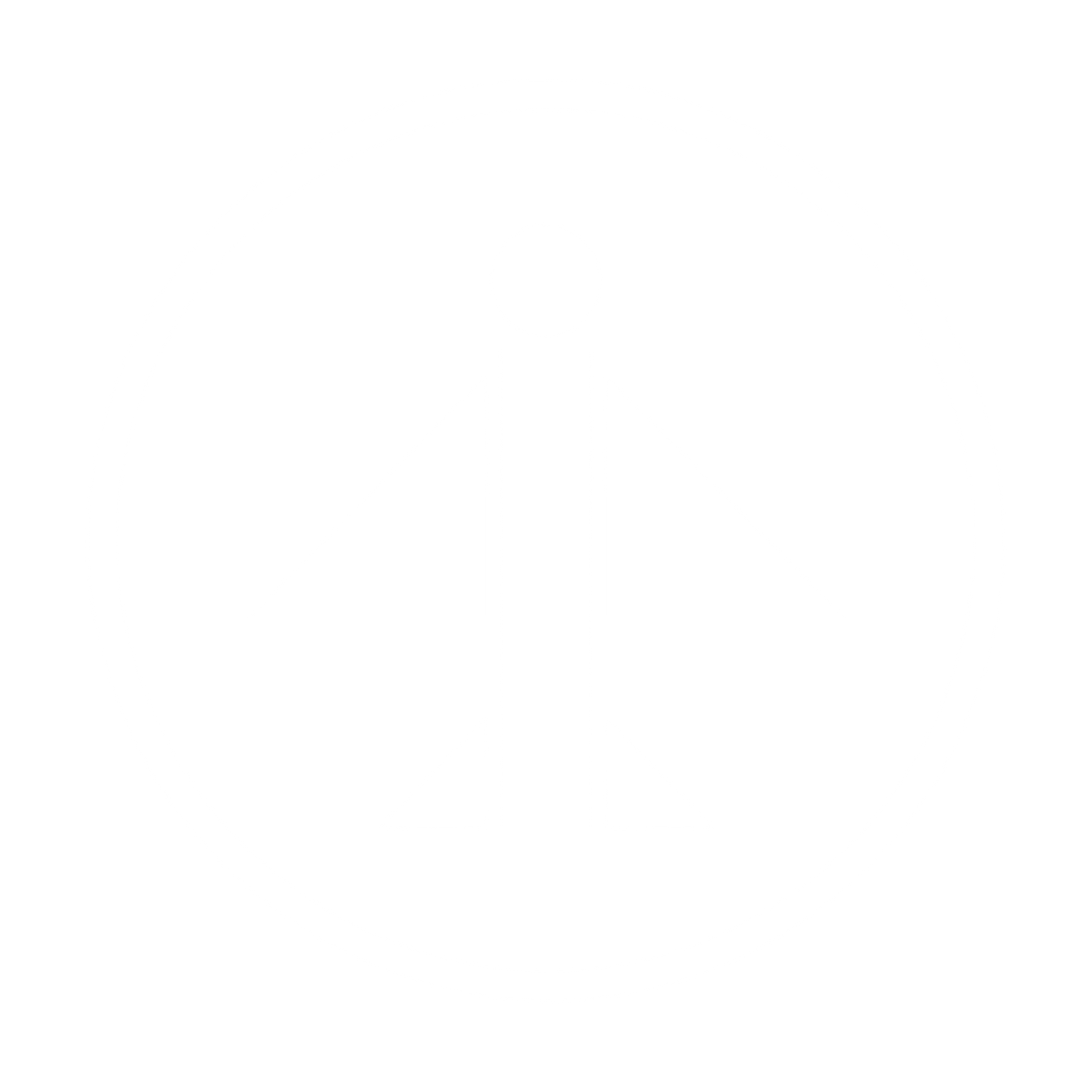 Airplane Circle Emblem Logo #ffffff
