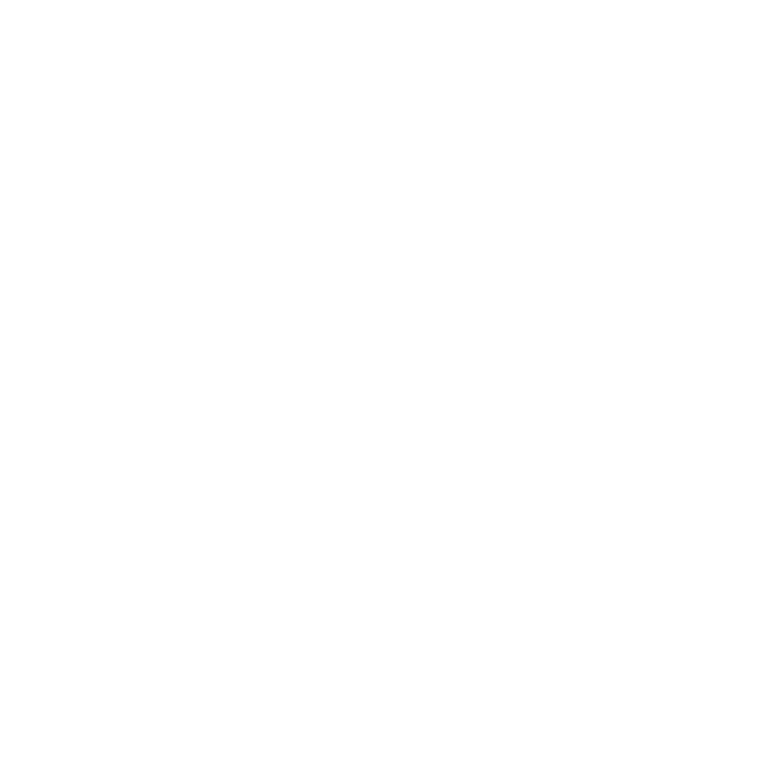 Airplane Circle Emblem Logo #ffffff