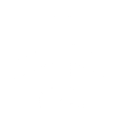 Airplane Silhouette Logo #ffffff