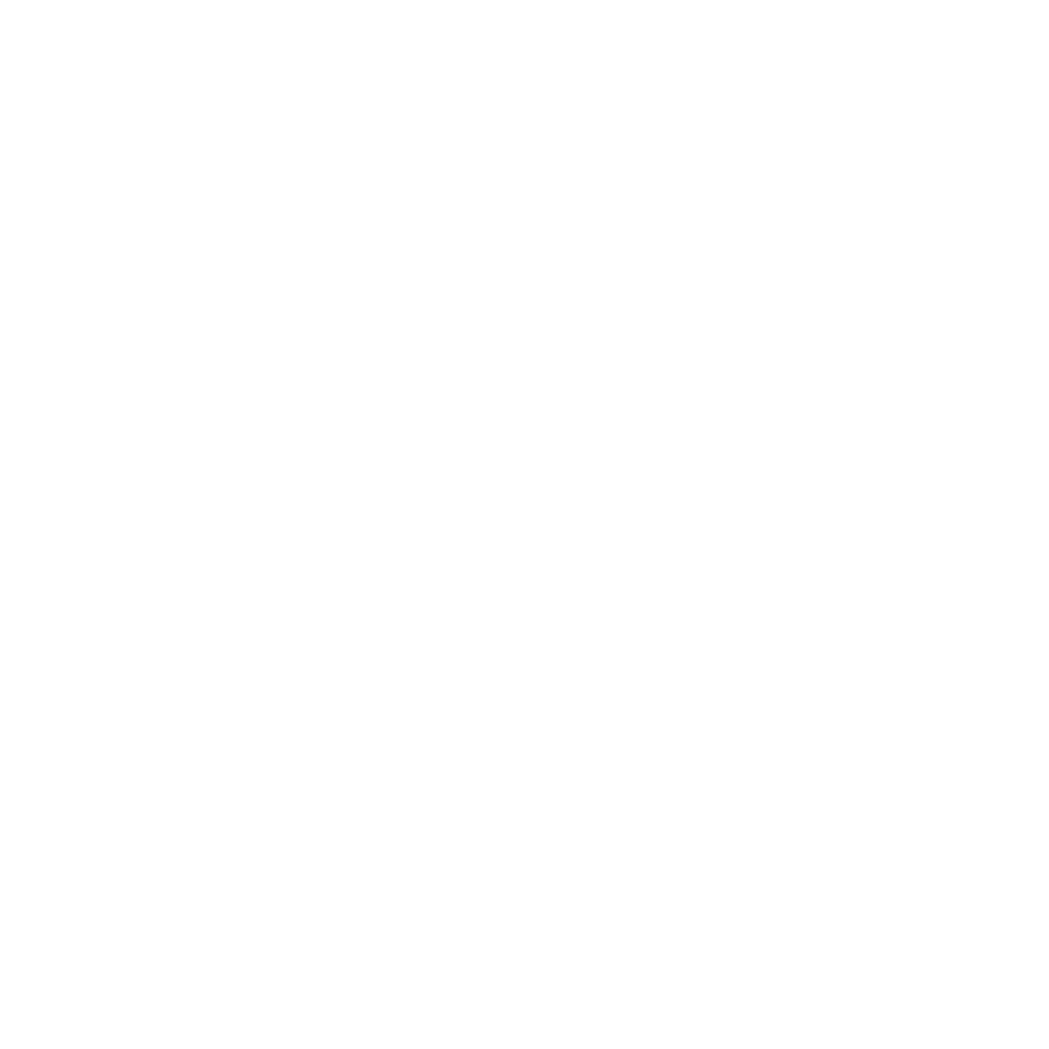 Airplane Outline Logo #ffffff
