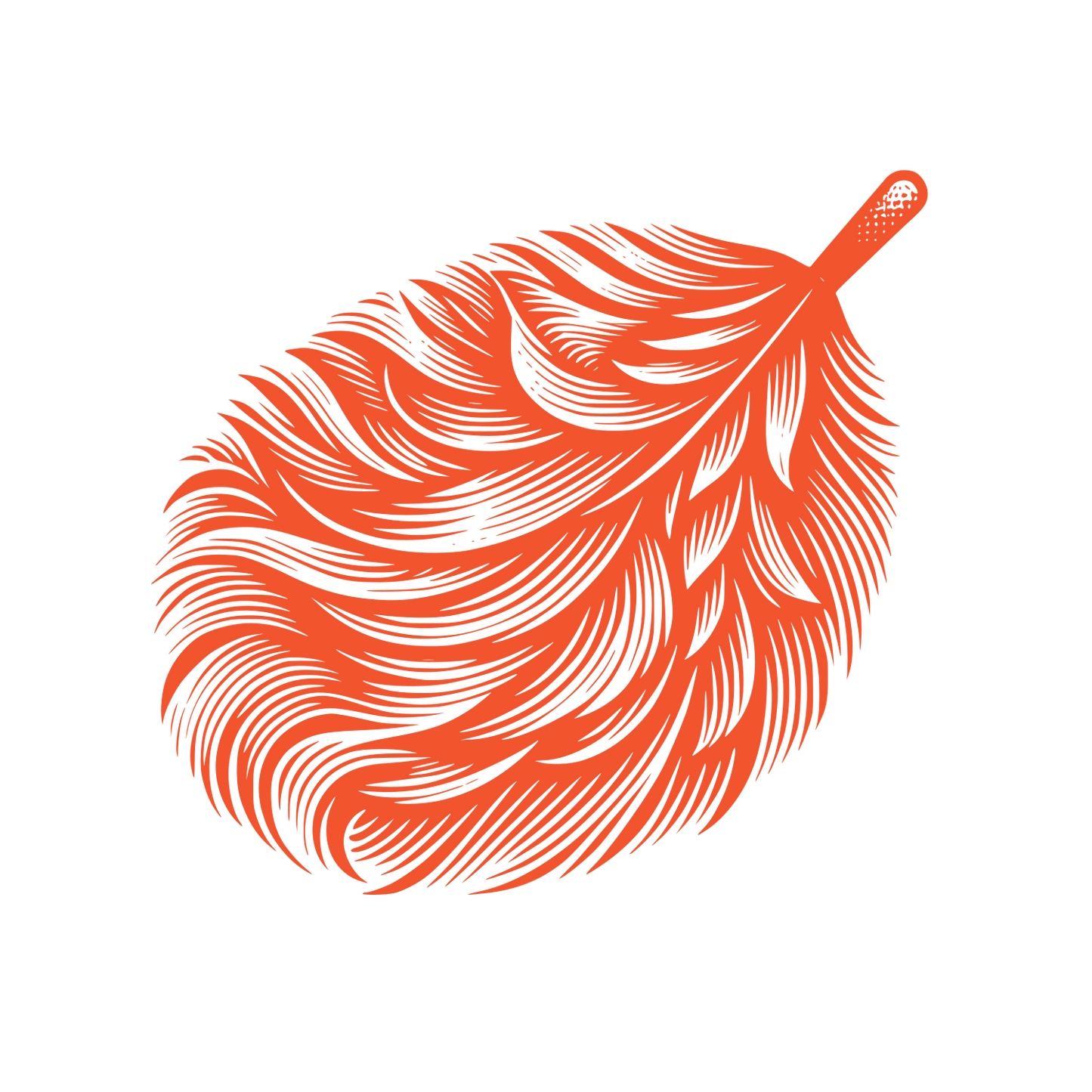 Feather Cleaning Logo #F2542D