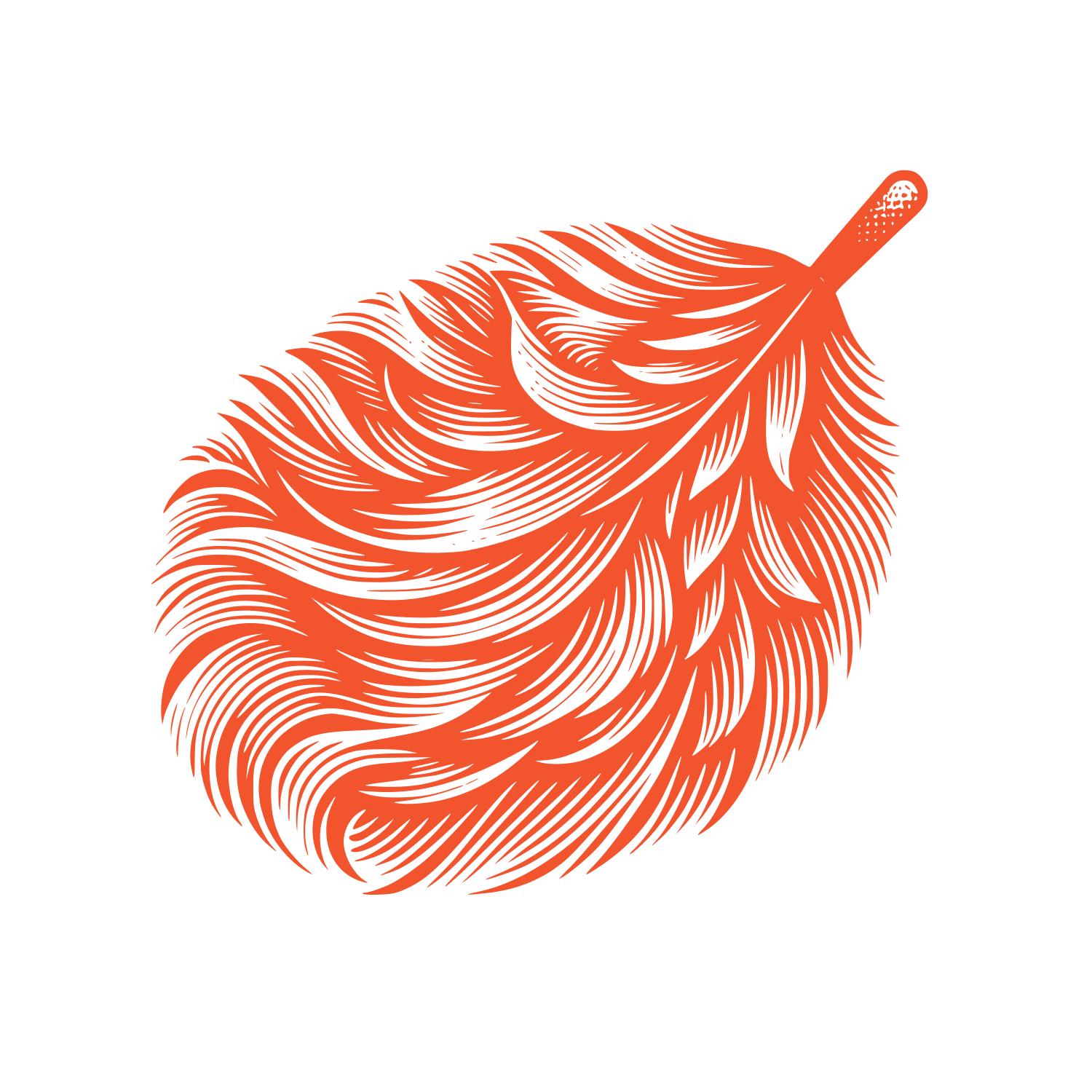 Feather Cleaning Logo #F2542D